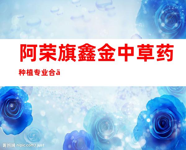阿荣旗鑫金中草药种植专业合作社
