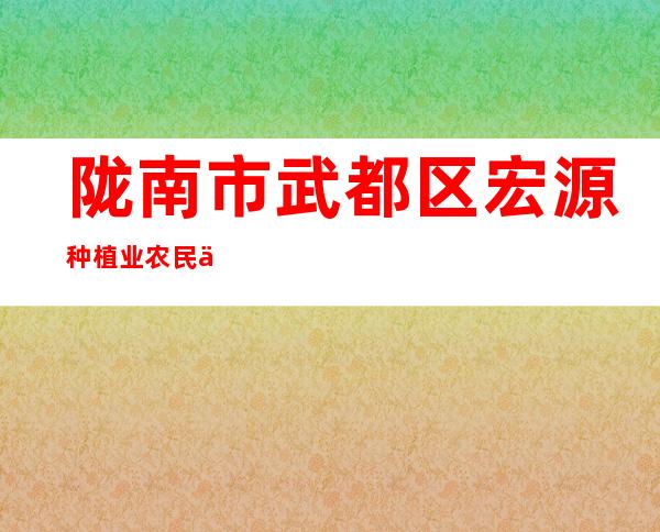 陇南市武都区宏源种植业农民专业合作社