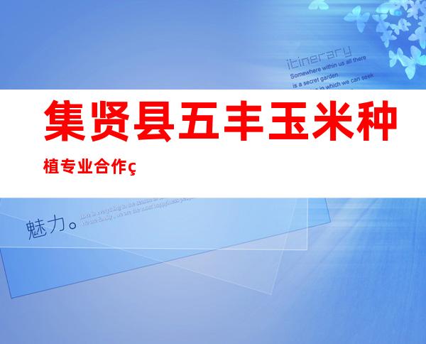 集贤县五丰玉米种植专业合作社