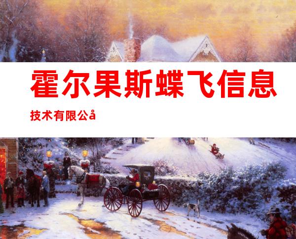 霍尔果斯蝶飞信息技术有限公司