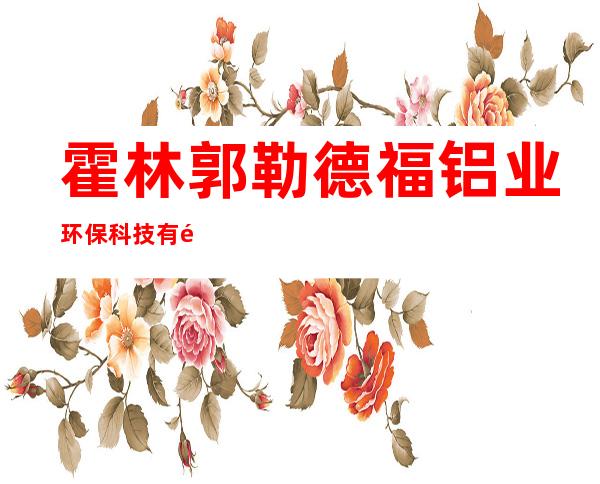 霍林郭勒德福铝业环保科技有限公司