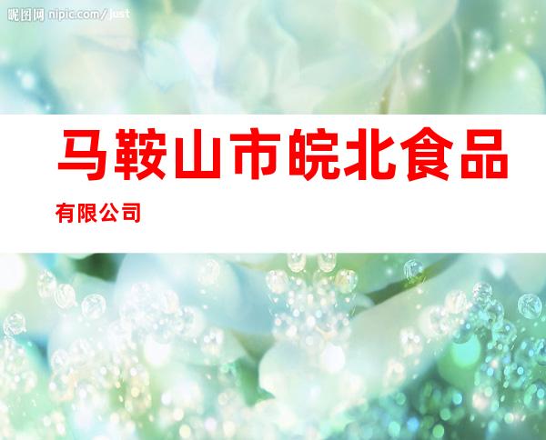 马鞍山市皖北食品有限公司