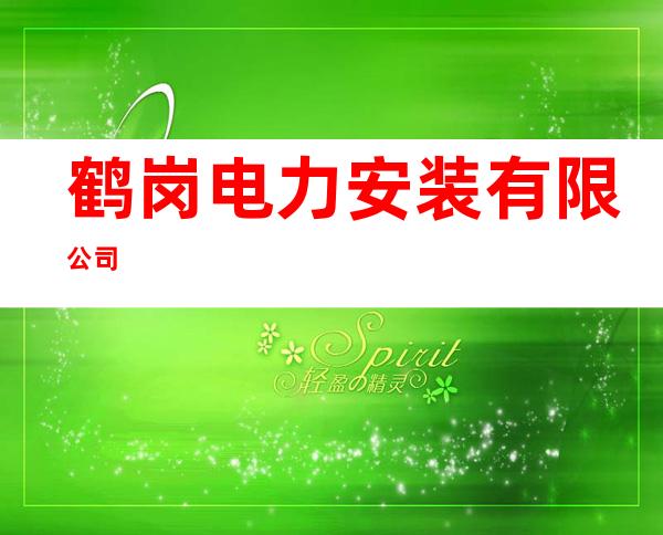 鹤岗电力安装有限公司