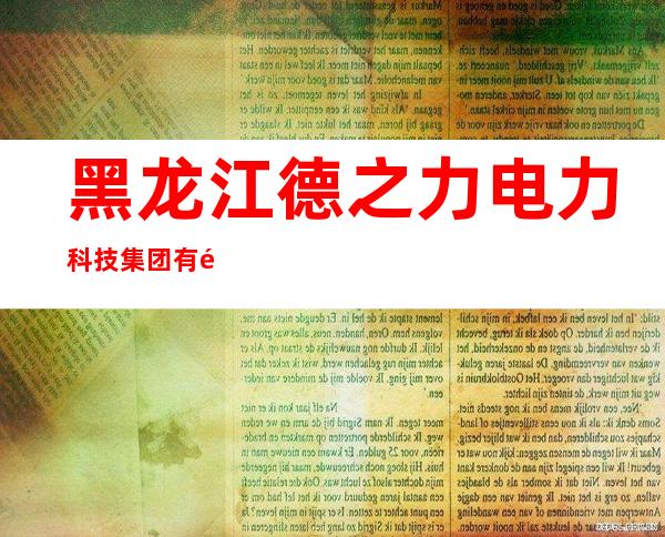黑龙江德之力电力科技集团有限公司