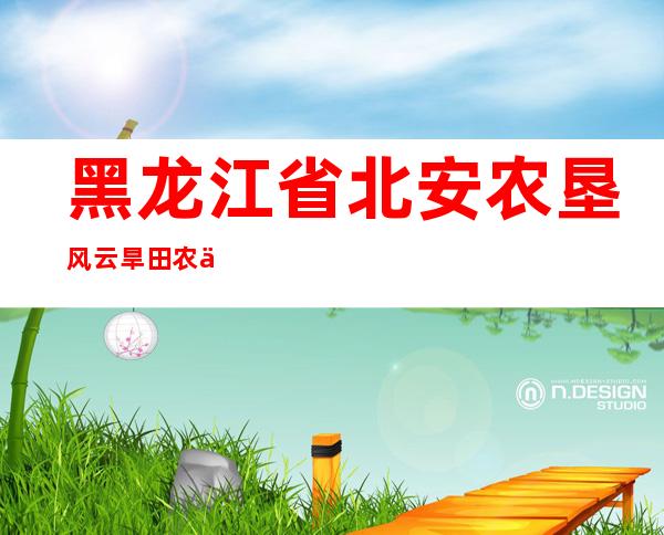 黑龙江省北安农垦风云旱田农作物种植专业合作社